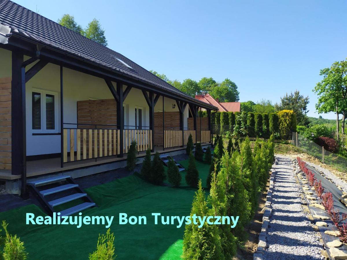 Villa Asturia Rymanów-Zdrój Buitenkant foto