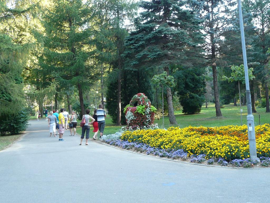Villa Asturia Rymanów-Zdrój Buitenkant foto