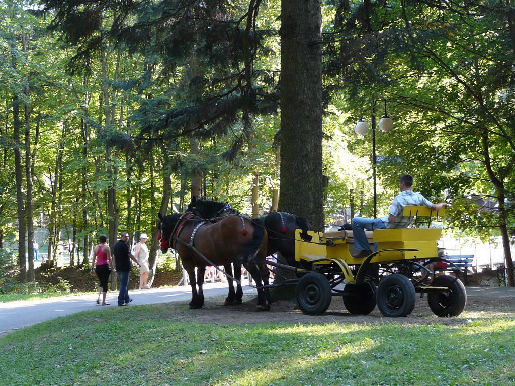 Villa Asturia Rymanów-Zdrój Buitenkant foto